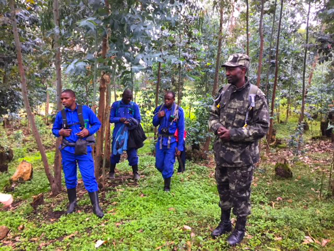 Rwanda Gorilla Trekking with our guides